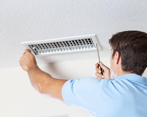 Best Forensic Mold Investigation  in Chackbay, LA